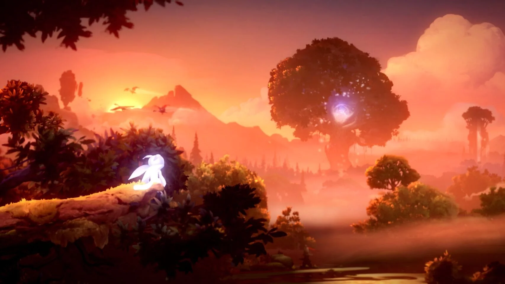 Ori and the Will of the Wisps Review — Analog Stick Gaming